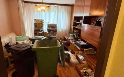 Zwangsräumung Wien – Ablauf, Informationen und Unterstützung bei Wohnungsauflösungen